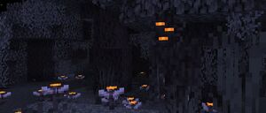 Baner 1.21.4.jpg