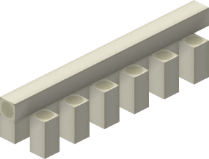 Skamieniały kręgosłup 1.png