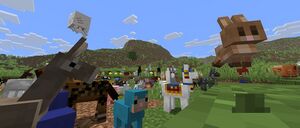 Baner 26.1.jpg