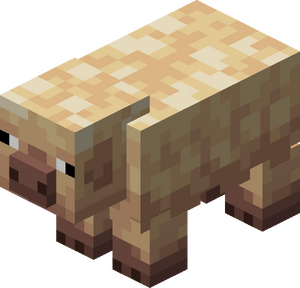 Zimnolubna świnia.png