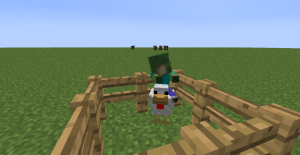 Chicken Jockey Egg.png