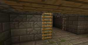 Drabina w twierdzy.png