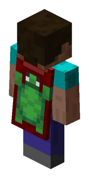 Turtle Cape Ingame.png