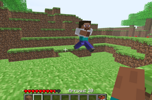 Człowiek w survivaltest.png