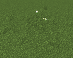 Mączka kostna efekt.png