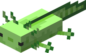 Zielony aksolotl.png