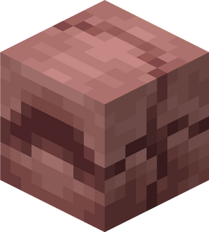 Pancernik zwinięty.png