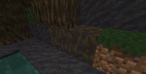 Minecraft 1.19.4 – naturalnie występujące zabłocone namorzynowe korzenie.png