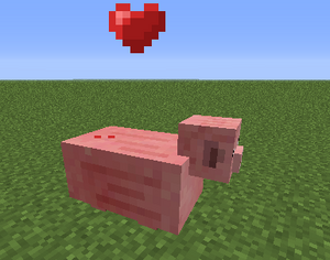 Przerośnięta świnia.png