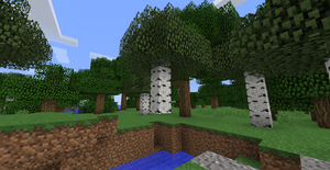 Lewitująca brzoza.png