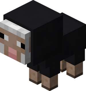 Owca mała czarna.png