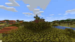 Paproć doniczka.png