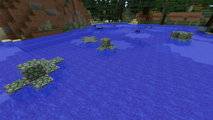 Otoczaki w wodzie.png