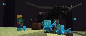 Baner 1.19.2.jpg