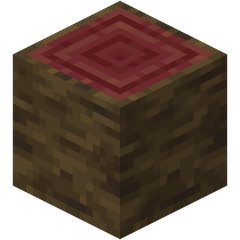 Pień - Minecraft Wiki Polska