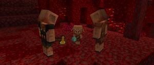 Baner 1.16.3.jpg